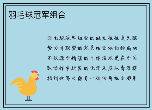 羽毛球冠军组合